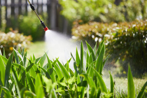 24/7 Emergency Wasp Removal experts in Boulder Creek, CA