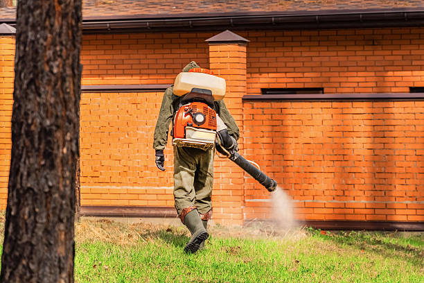 Top rated local Wasp Removal specialists in Boulder Creek, CA